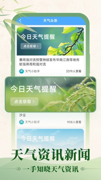 初雨天气手机版截图3