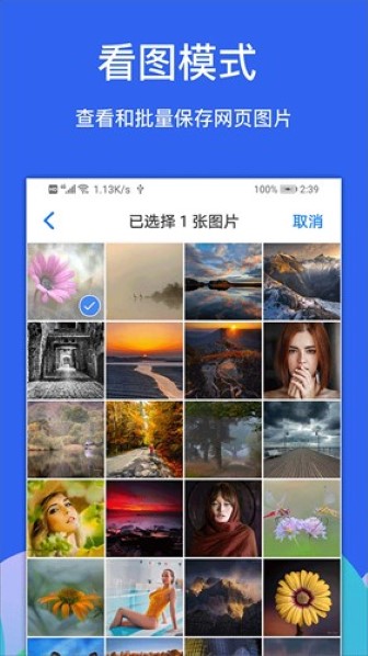 Alook浏览器最新版截图3