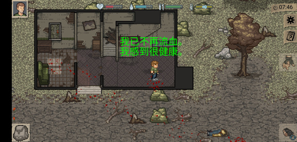 迷你dayz截图2